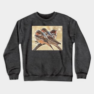 Swallows 3P Crewneck Sweatshirt